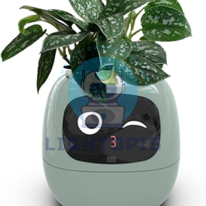 Smart Flower Pot